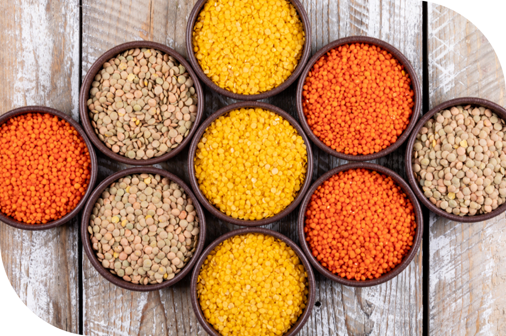 Pulses and Lentils