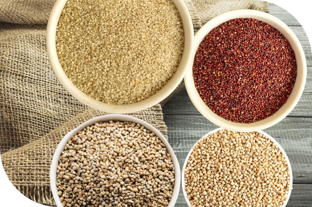Millets & Coarse Grains